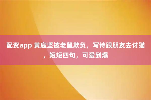配资app 黄庭坚被老鼠欺负，写诗跟朋友去讨猫，短短四句，可爱到爆