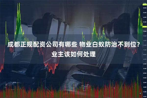 成都正规配资公司有哪些 物业白蚁防治不到位?业主该如何处理